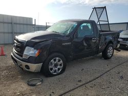 Salvage cars for sale at Arcadia, FL auction: 2013 Ford F150