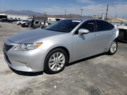 Salvage cars for sale at Sun Valley, CA auction: 2014 Lexus ES 300H