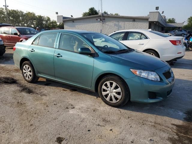 2010 Toyota Corolla Base