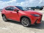 2022 Lexus NX 350