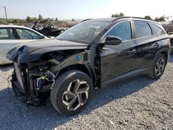 Salvage cars for sale at Mentone, CA auction: 2024 Hyundai Tucson SEL