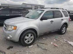 Salvage cars for sale at Earlington, KY auction: 2011 Ford Escape XLT