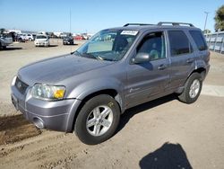 Salvage cars for sale at auction: 2007 Ford Escape HEV