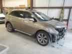 2010 Acura MDX Advance