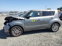 Salvage cars for sale at Eugene, OR auction: 2019 KIA Soul +