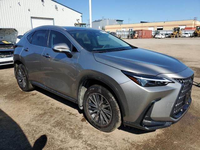 2024 Lexus NX 250 Base