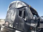 2013 Freightliner Cascadia 125