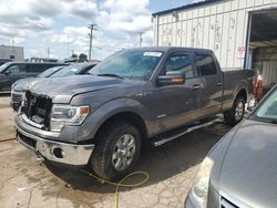 Salvage cars for sale at Chicago Heights, IL auction: 2014 Ford F150 Supercrew