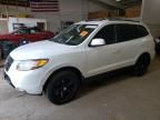 2007 Hyundai Santa FE GLS