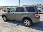 2011 Ford Escape XLS