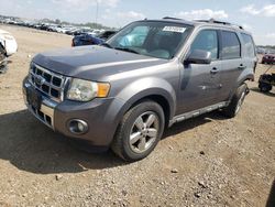 Ford Vehiculos salvage en venta: 2009 Ford Escape Limited