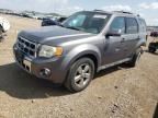 2009 Ford Escape Limited