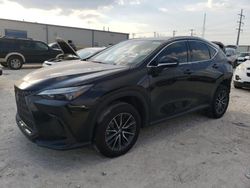 Salvage cars for sale at Haslet, TX auction: 2024 Lexus NX 350 Premium