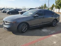 Honda Accord ex salvage cars for sale: 2023 Honda Accord EX