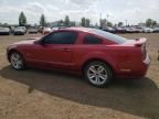 2007 Ford Mustang GT