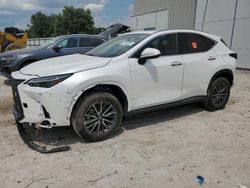 Salvage cars for sale at Apopka, FL auction: 2024 Lexus NX 250 Premium