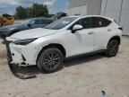 2024 Lexus NX 250 Premium