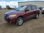 2007 Hyundai Santa FE GL