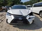 2020 Lexus NX 300H