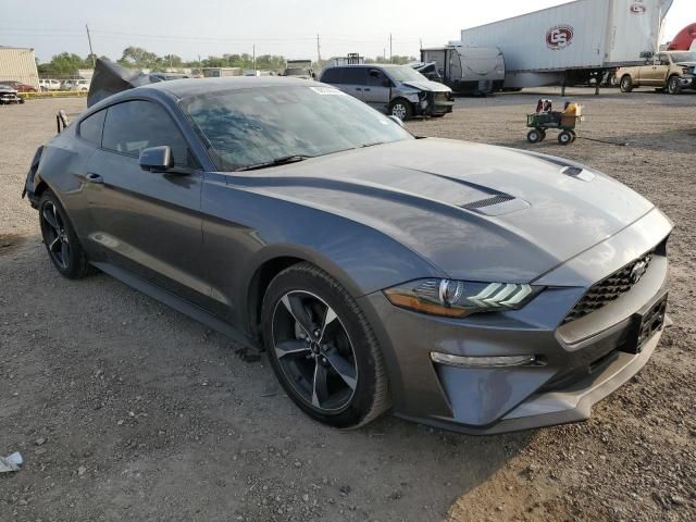 2023 Ford Mustang