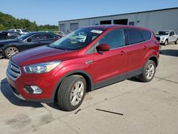 Salvage cars for sale at Gaston, SC auction: 2019 Ford Escape SE