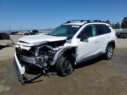 Toyota salvage cars for sale: 2020 Toyota Rav4 LE