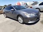 2013 Lexus ES 300H