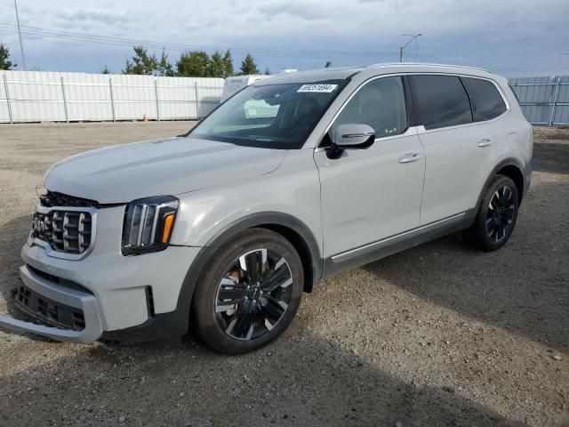 2024 KIA Telluride SX