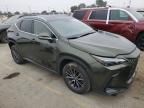 2023 Lexus NX 350