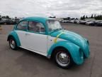 1967 Volkswagen Beetle