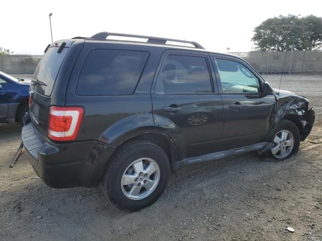 2011 Ford Escape XLT