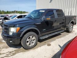 Ford salvage cars for sale: 2013 Ford F150 Supercrew