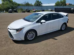 Toyota salvage cars for sale: 2021 Toyota Corolla LE