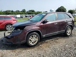 Salvage cars for sale at Hillsborough, NJ auction: 2014 KIA Sorento LX