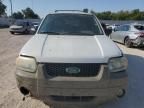 2005 Ford Escape XLT