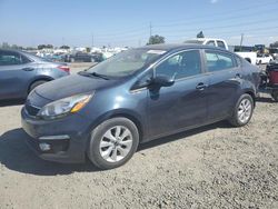 Salvage cars for sale at Eugene, OR auction: 2016 KIA Rio EX