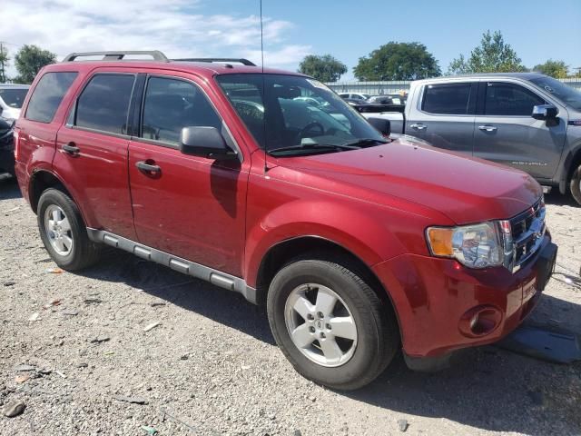 2011 Ford Escape XLT