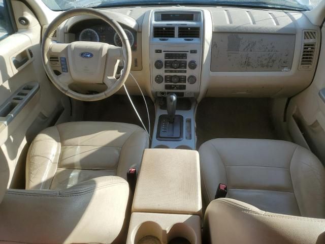 2008 Ford Escape XLT