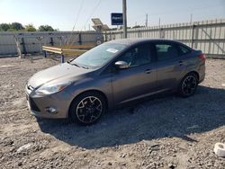 Ford Vehiculos salvage en venta: 2013 Ford Focus SE