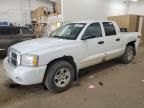 2005 Dodge Dakota Quad SLT