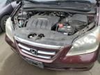 2007 Honda Odyssey EXL