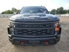 2023 Chevrolet Silverado K1500 Trail Boss Custom