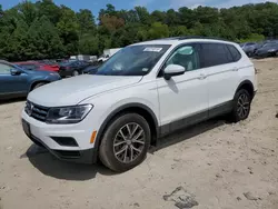 Salvage cars for sale at Seaford, DE auction: 2018 Volkswagen Tiguan SE