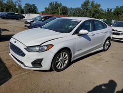 Salvage cars for sale at Baltimore, MD auction: 2019 Ford Fusion SE