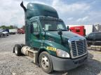 2015 Freightliner Cascadia 113