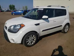 Salvage cars for sale from Copart Rocky View County, AB: 2013 KIA Soul +