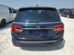 2024 Honda Odyssey EXL