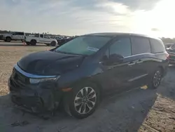 Salvage cars for sale at Houston, TX auction: 2024 Honda Odyssey EXL