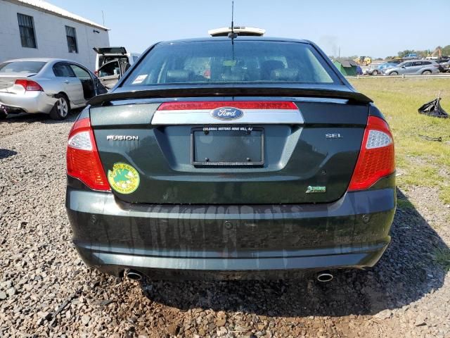 2010 Ford Fusion SEL