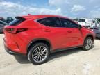 2022 Lexus NX 350